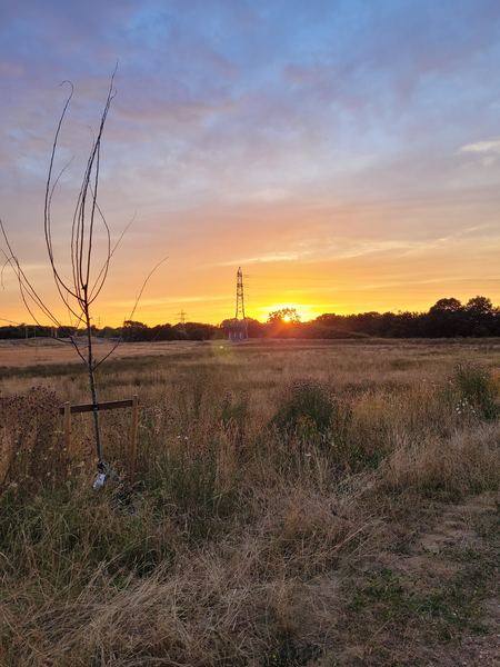 Winnersh
