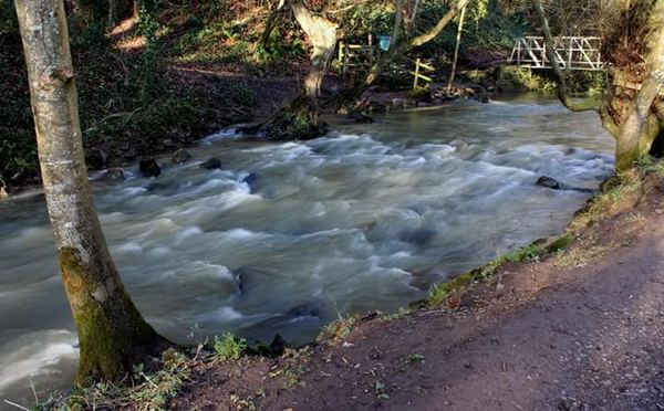 Winterbourne
