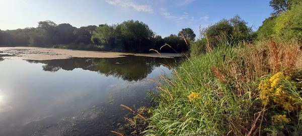 Wintersett