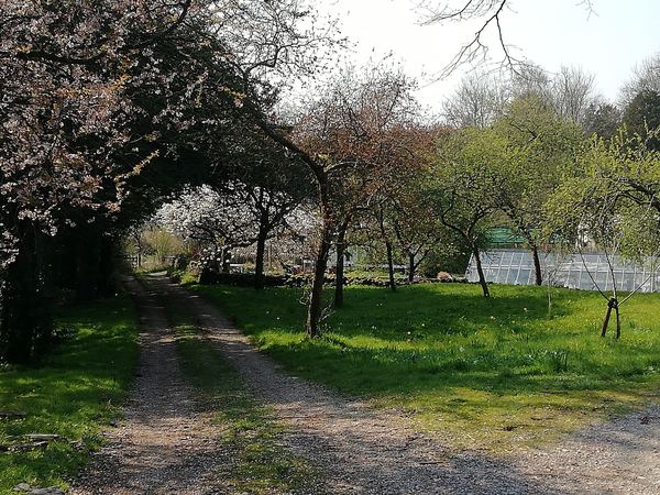 Witherslack
