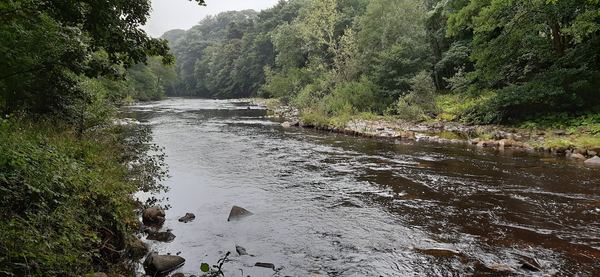 Wolsingham
