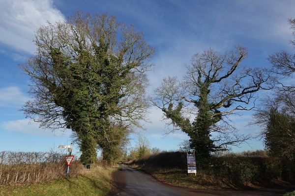 Wolterton