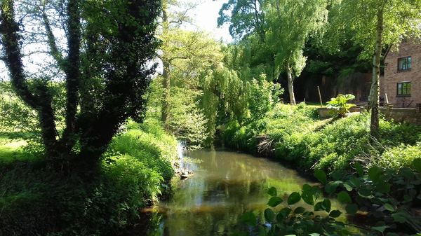 Wolverley