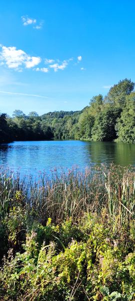Woodchester