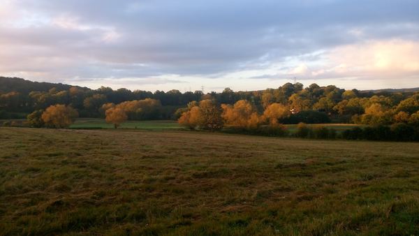 Wordsley