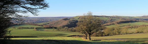 Wortley
