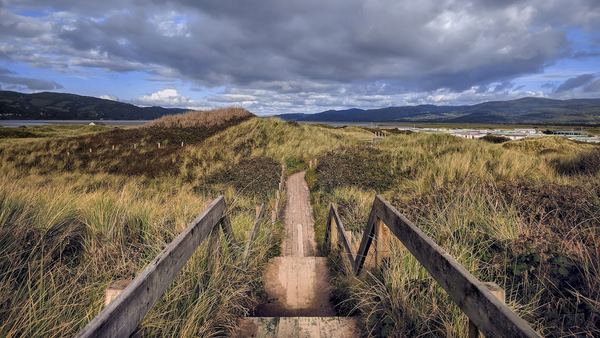 Ynyslas