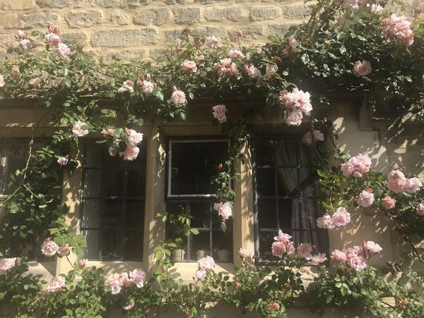 Abbots Wing