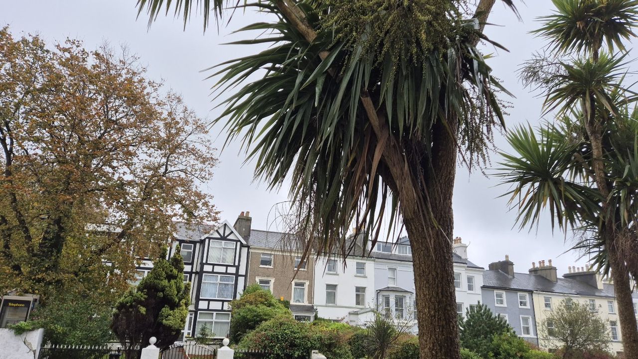 All Seasons Guesthouse