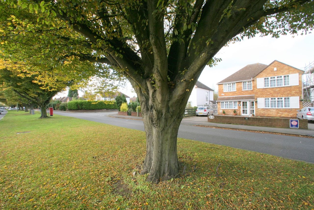 Arden Lodge