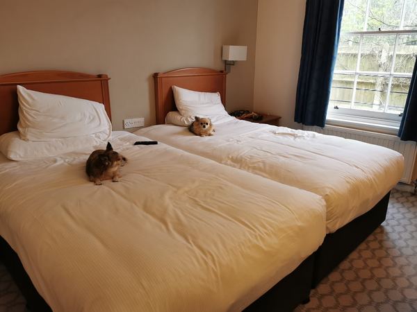 Avisford Park Hotel