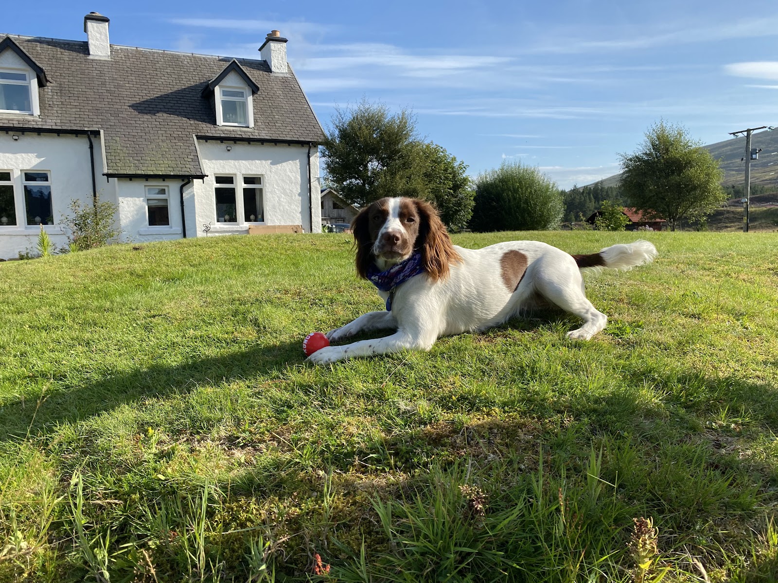 Balsporran Bed and Breakfast
