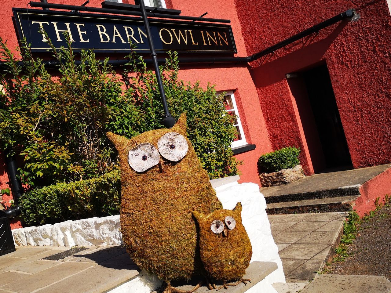 Barn Owl Inn