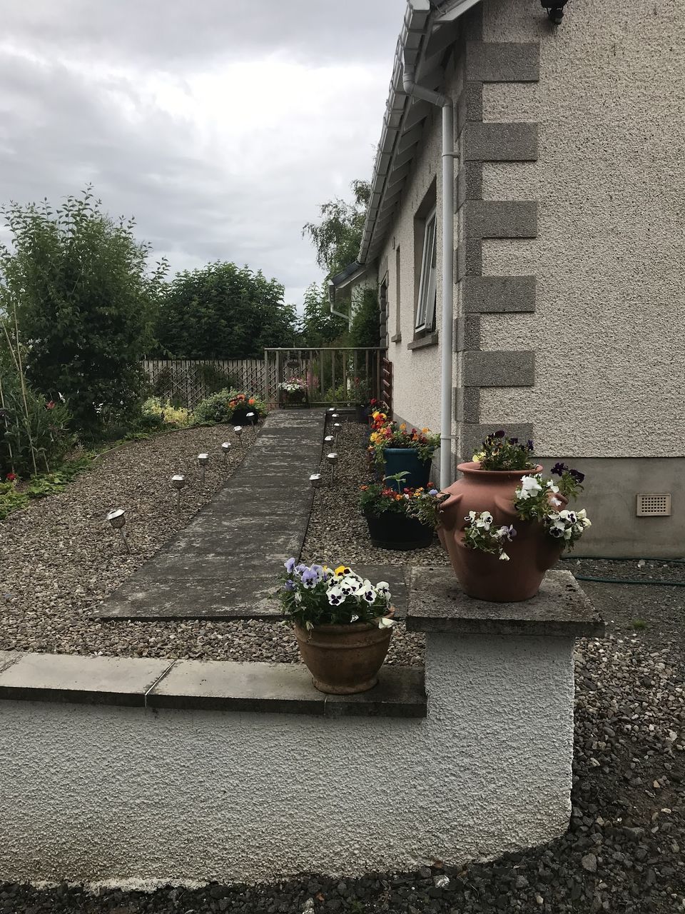 Basset Cottage B&B