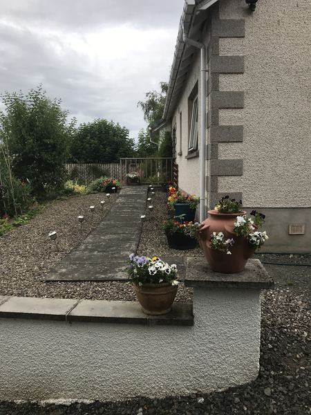 Basset Cottage B&B