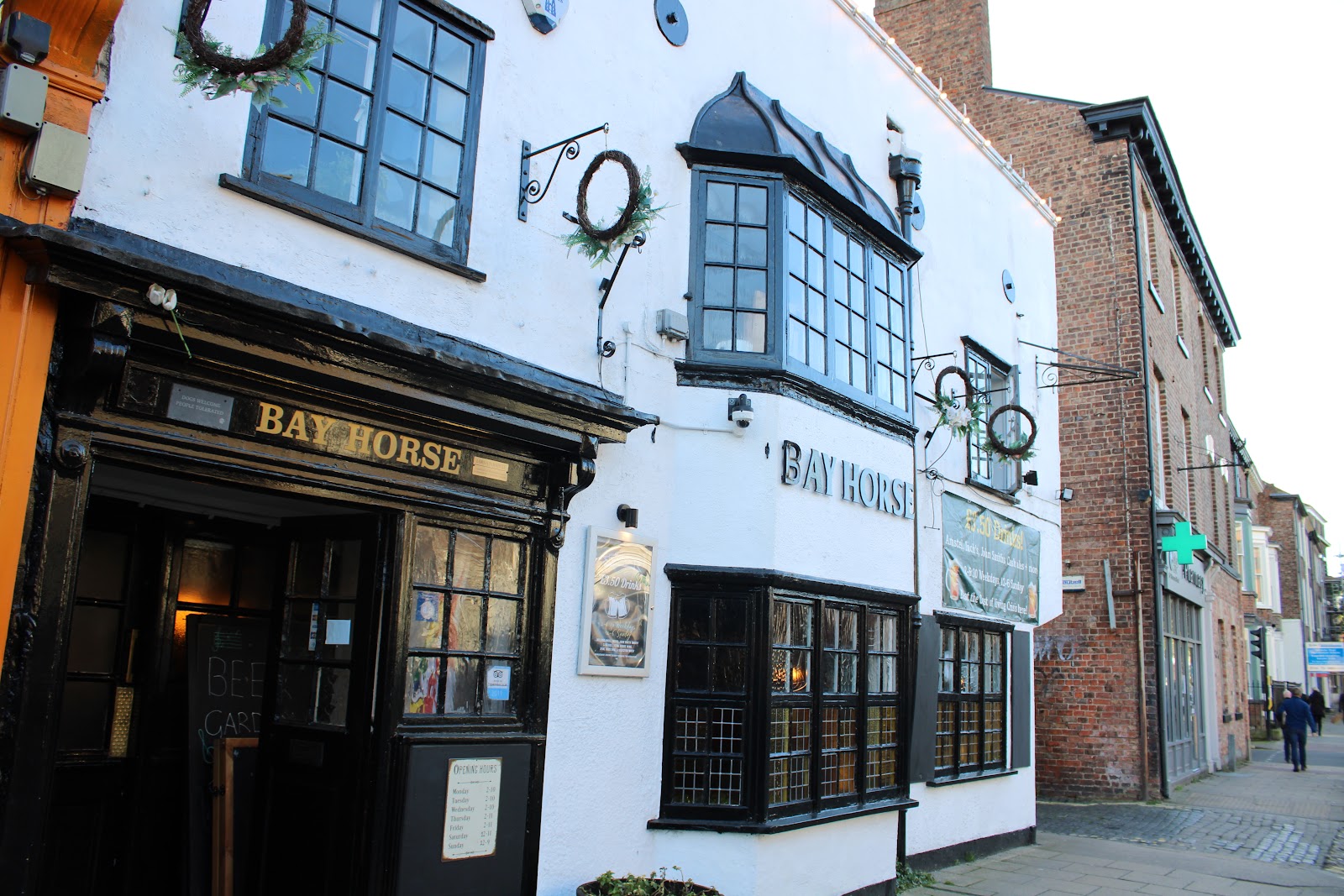 Bay Horse