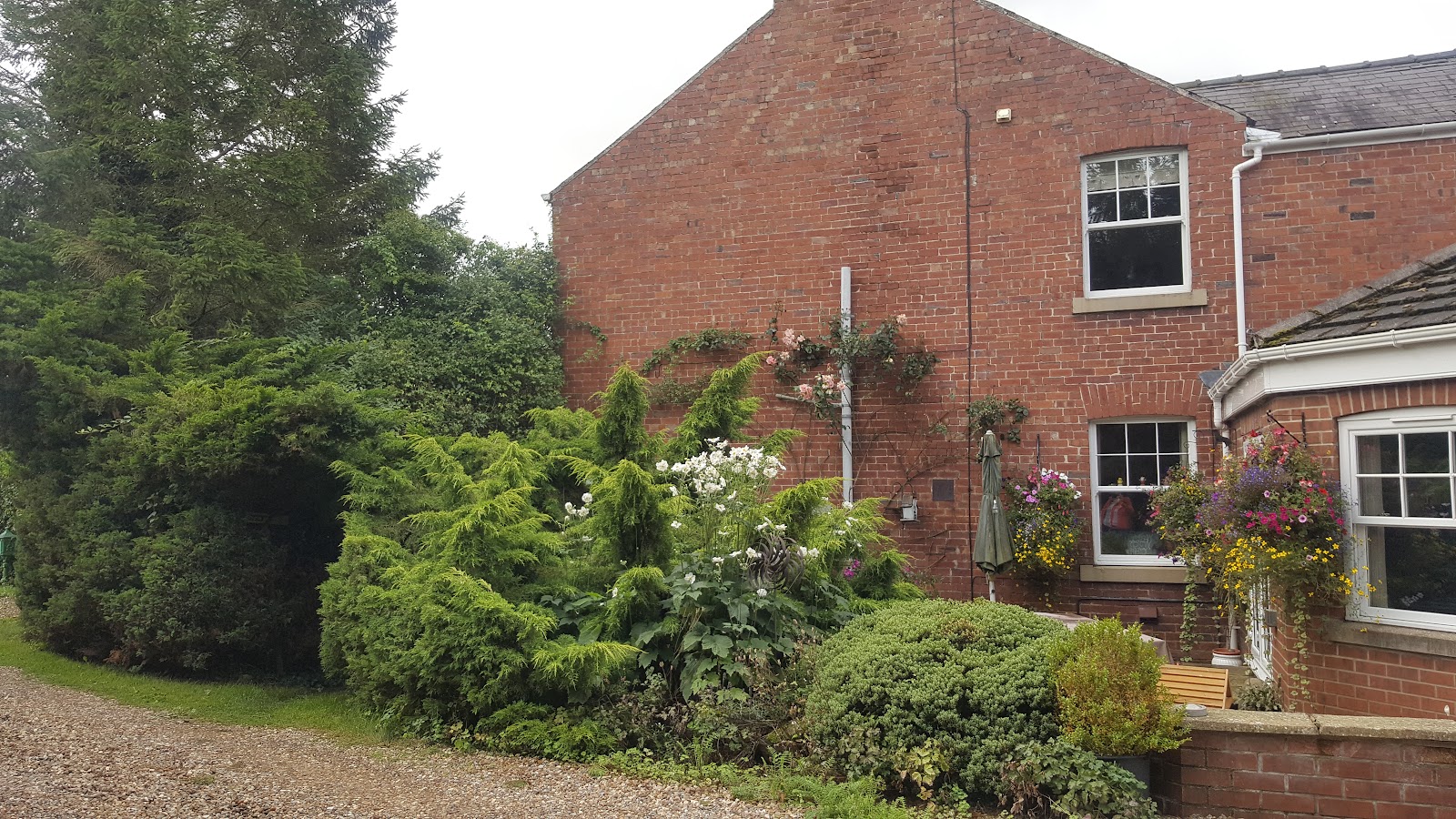 Bed and Breakfast Ashfield