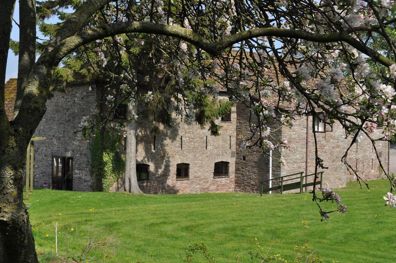 Black Mountain Lodge