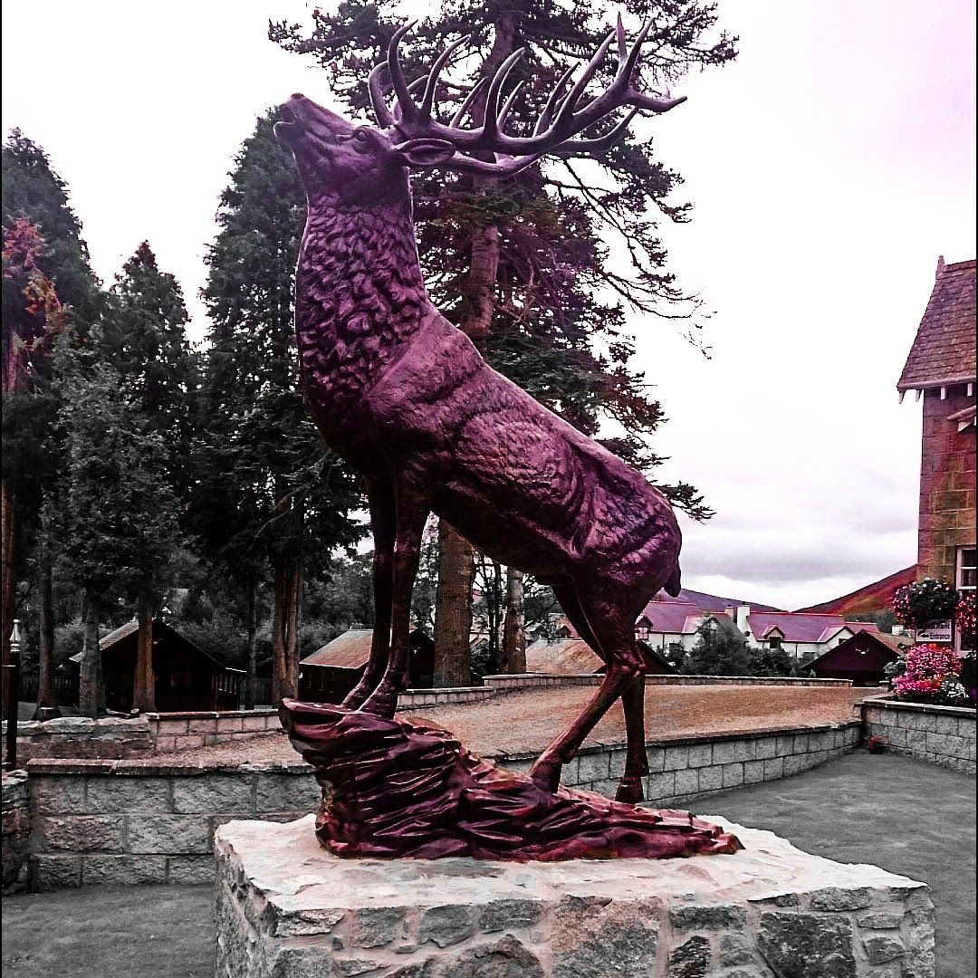 Braemar Lodge Hotel