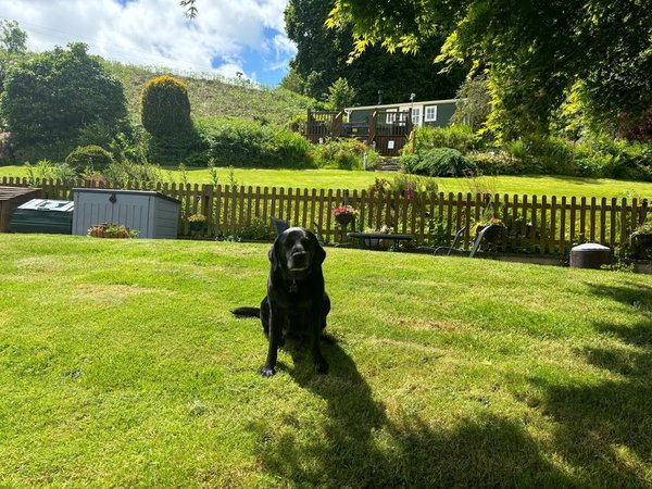 Broombush B & B & Yr Nyth Shepherds Hut