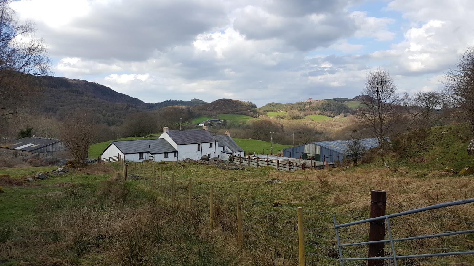 Bryn Gefeiliau