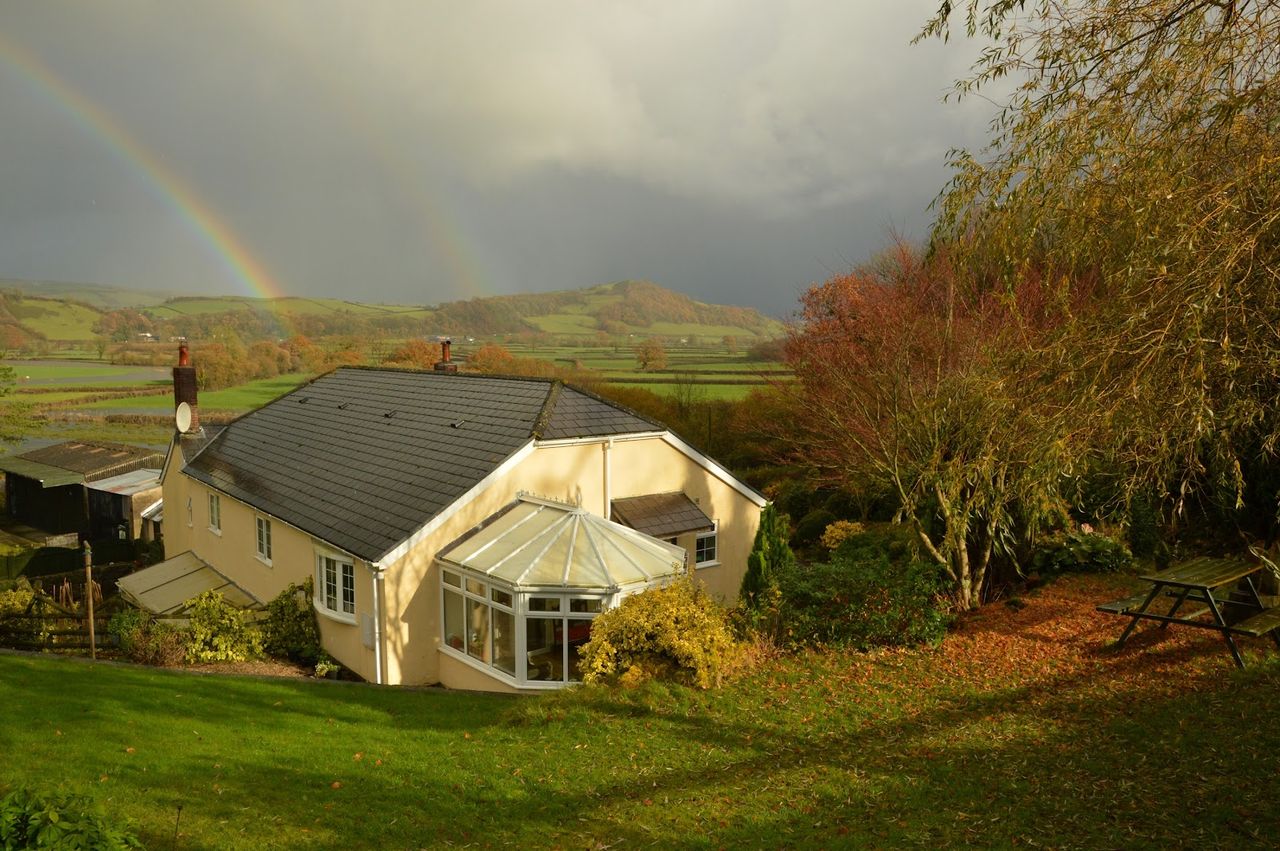 Bryn Hebog