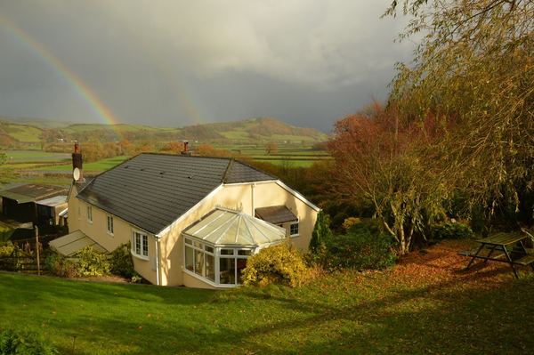 Bryn Hebog