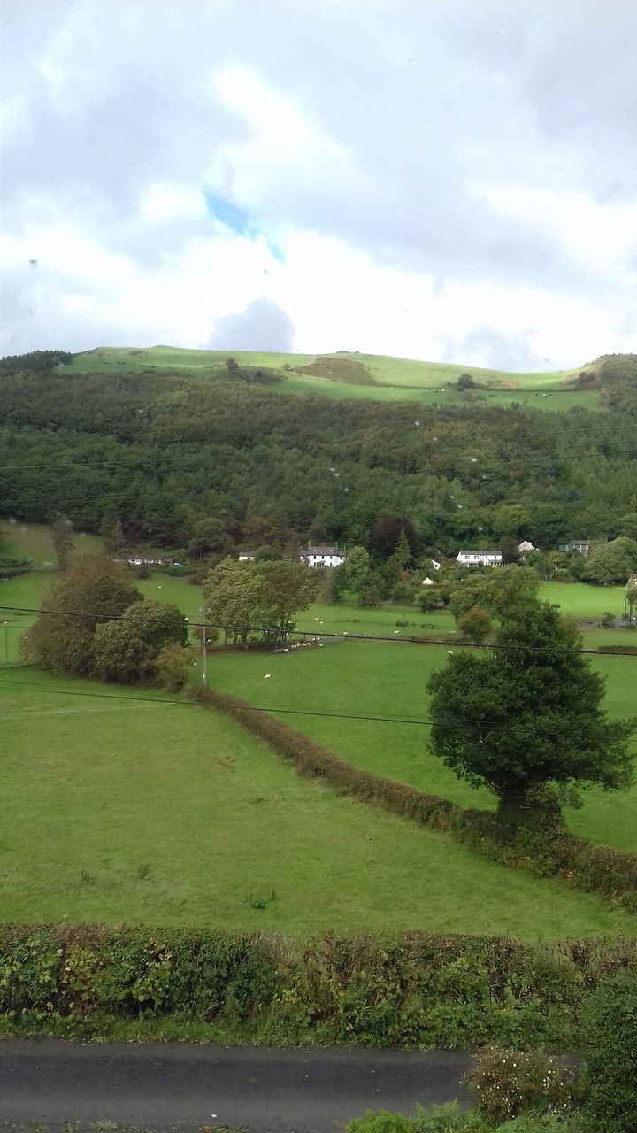 Bryncoed