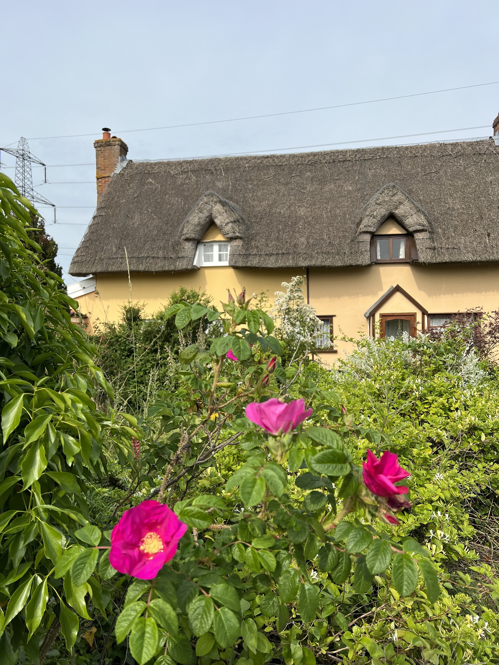 Bull Auberge