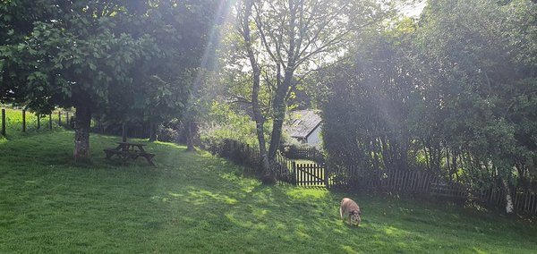 Byre Cottage