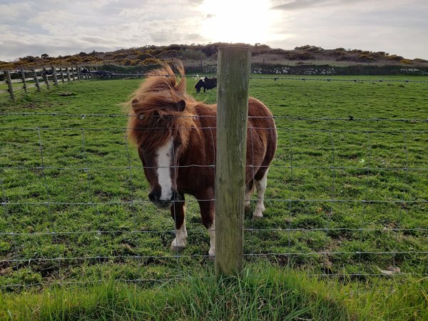 Caerhys B&B
