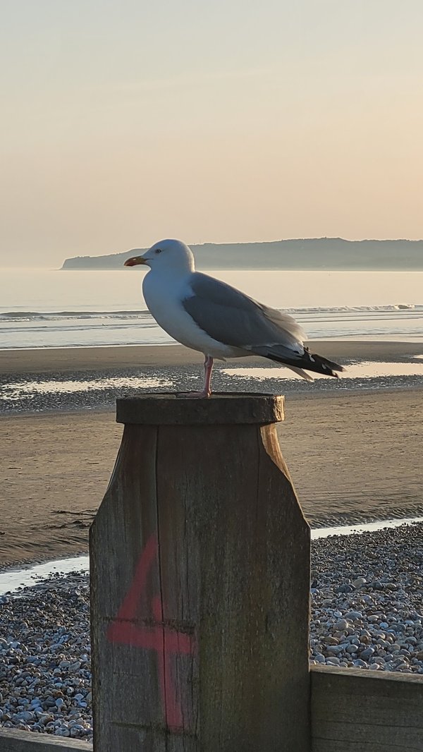 Camber Sands Holiday Park