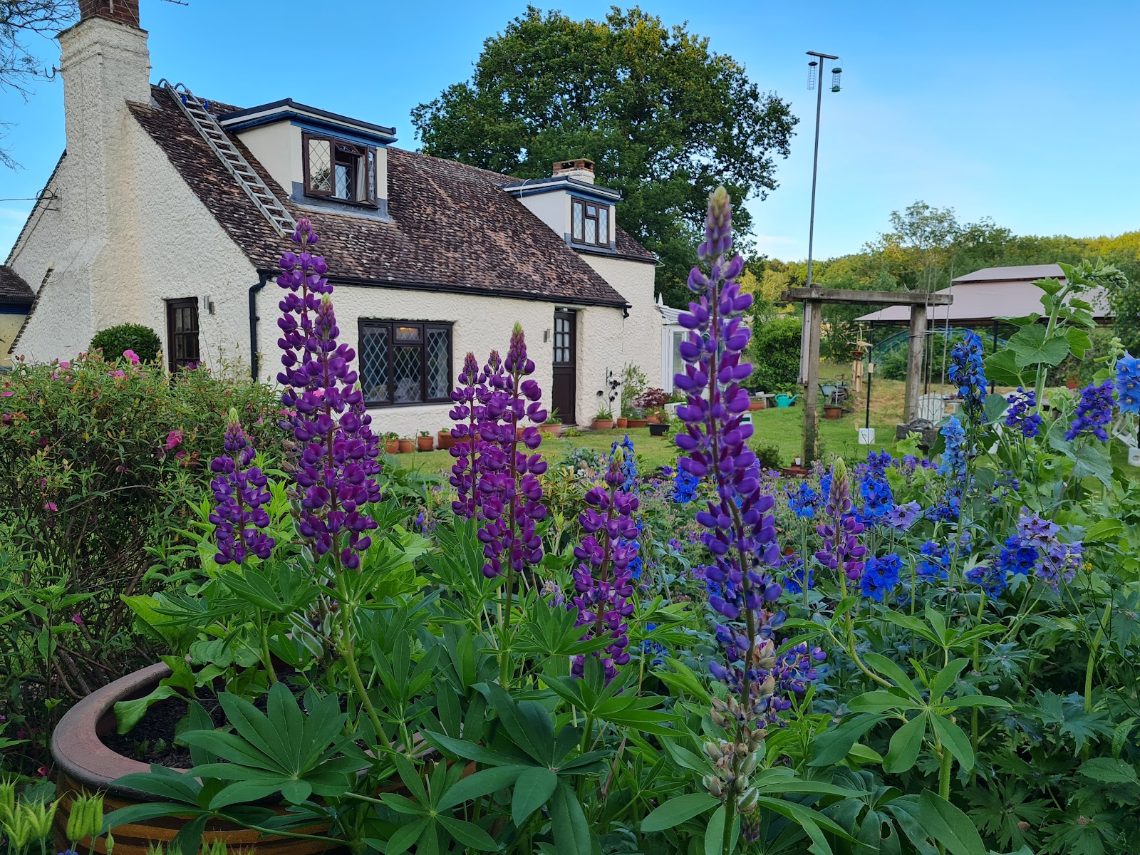 Chaseborough farm