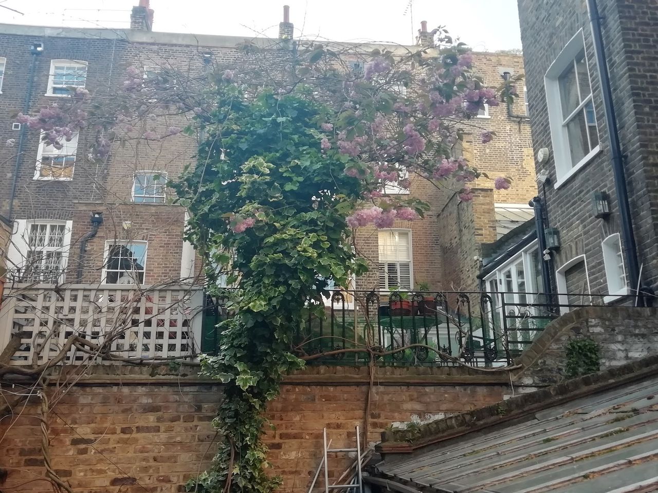 Chelsea BnB