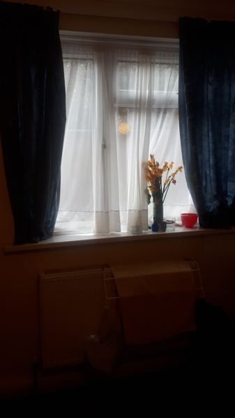 Copper Beech Rooms