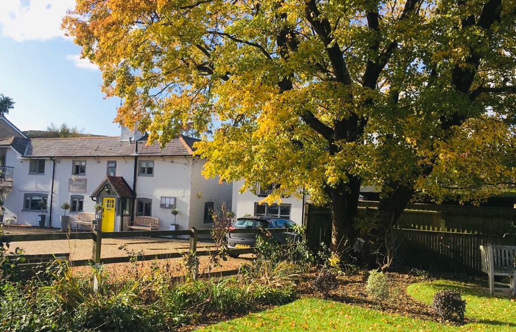 Cottage Lodge Hotel