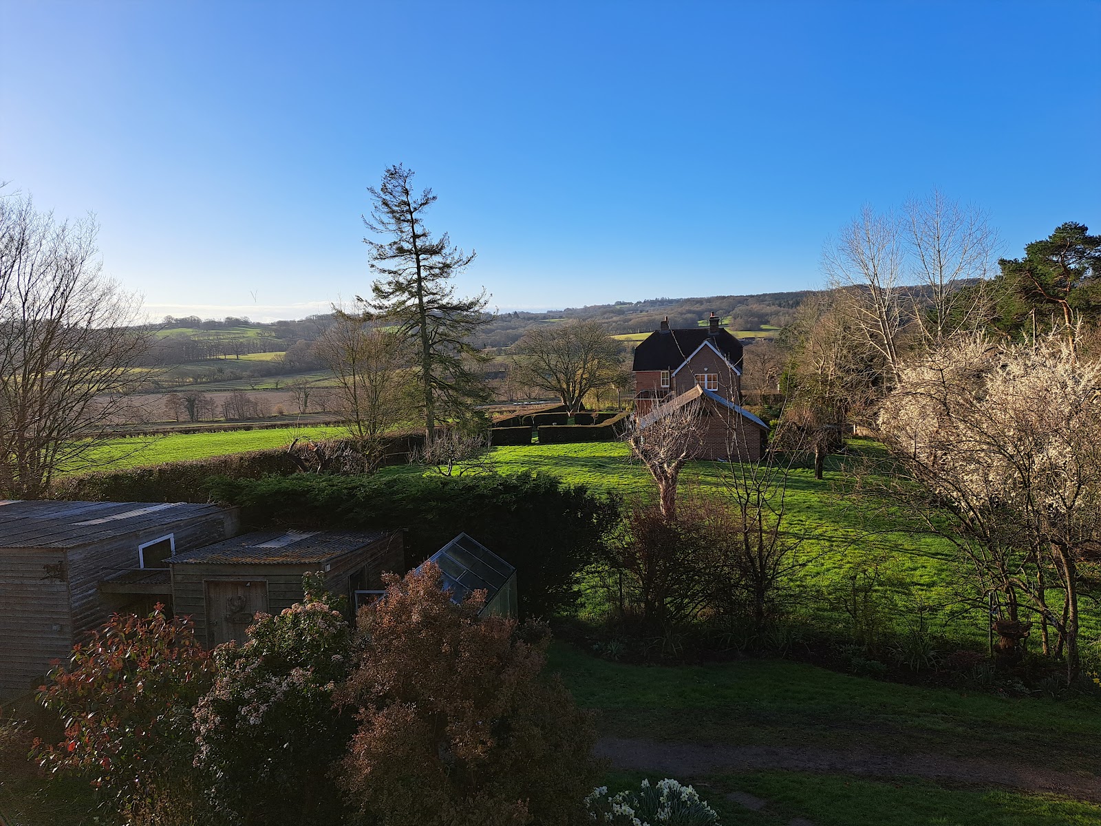 Court Barn Cottage B&B