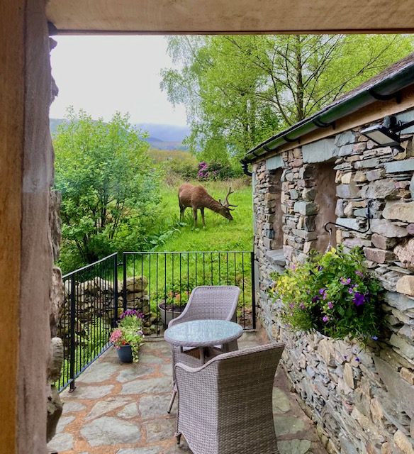 Crookabeck B&B