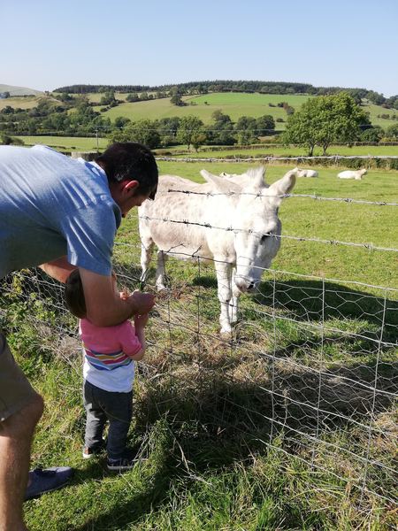 Cwm Craig Farm