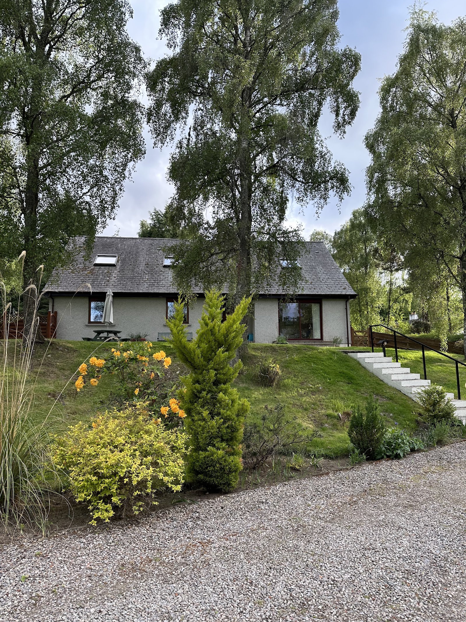 Daedalus Bed & Breakfast