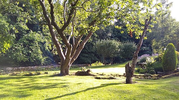 Dilston Mill