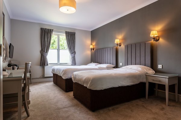 Dog & Bear Hotel
