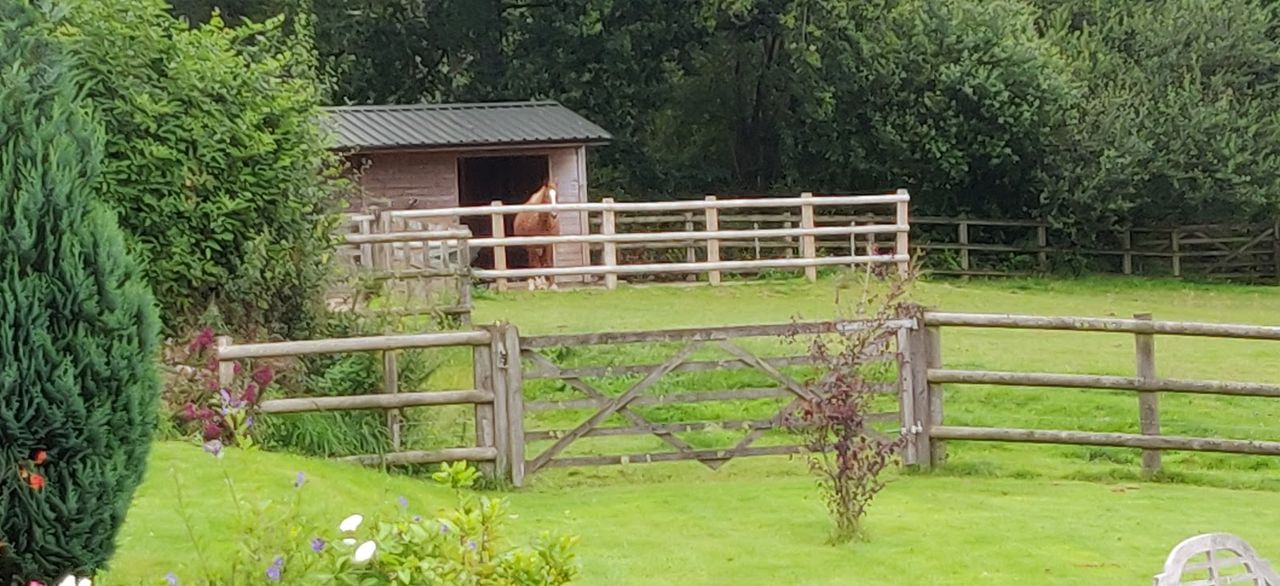 Fernside Bed and Breakfast