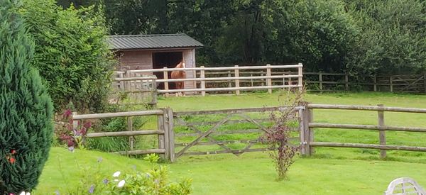 Fernside Bed and Breakfast
