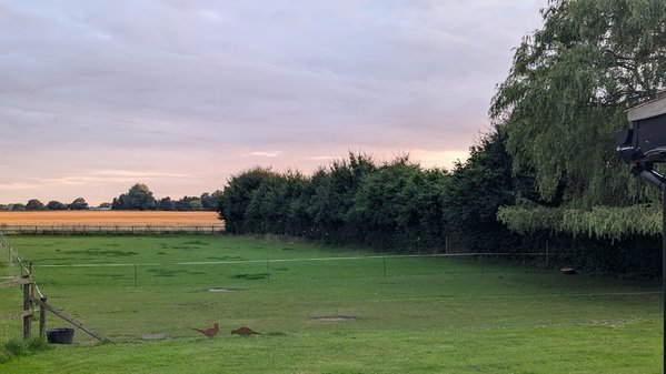 Fieldview Farmhouse Bed and Breakfast