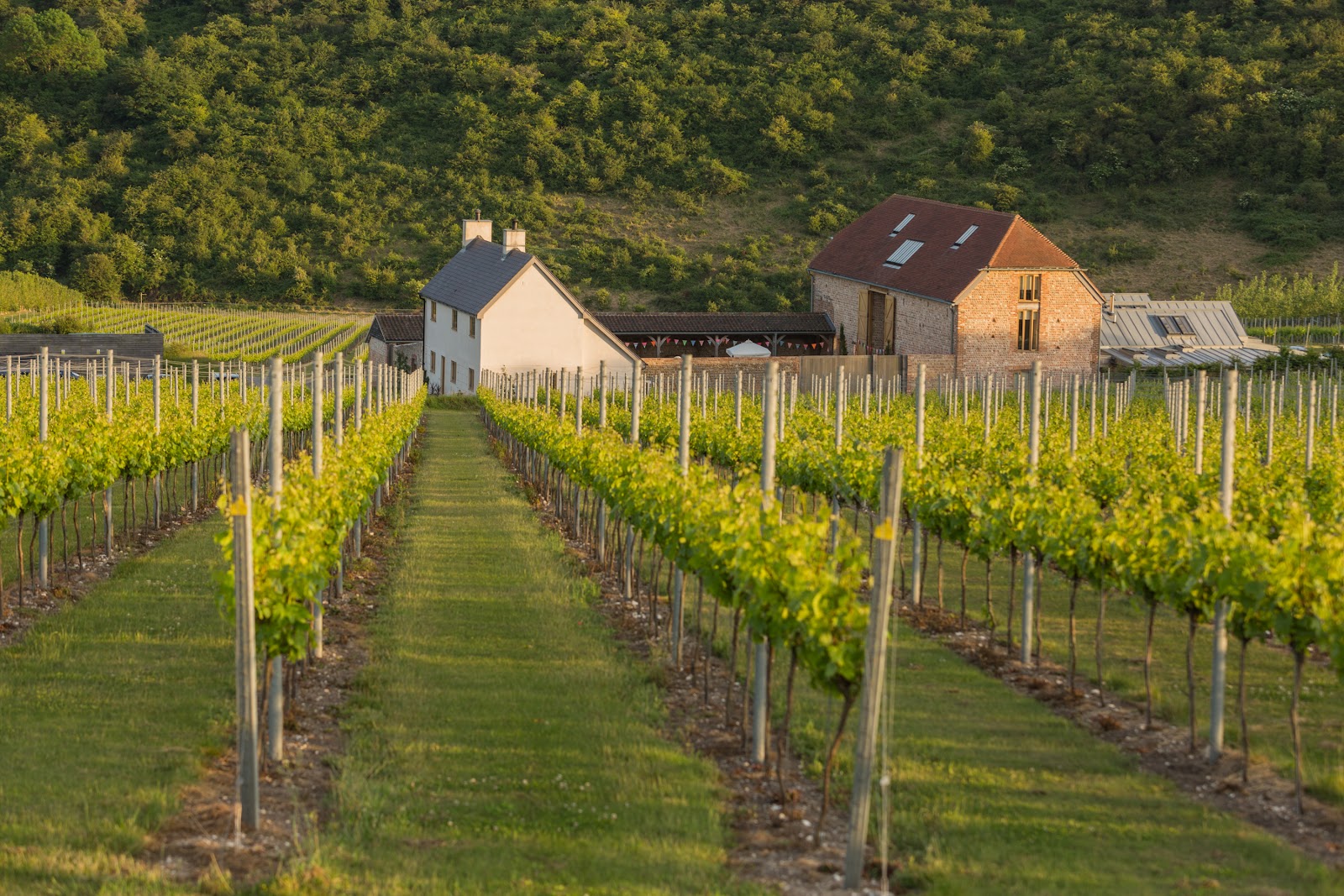 Flint Barns Rathfinny Wine Estate