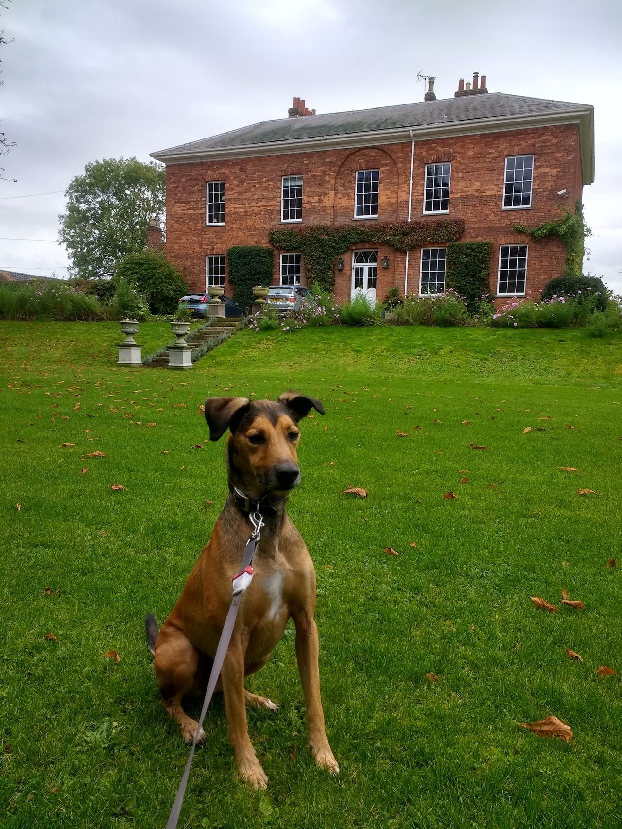 Glebe House