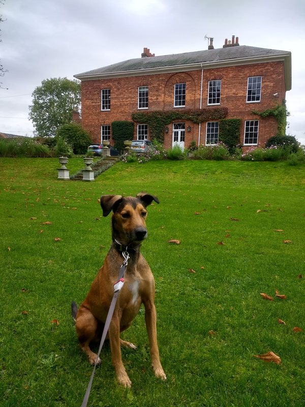 Glebe House