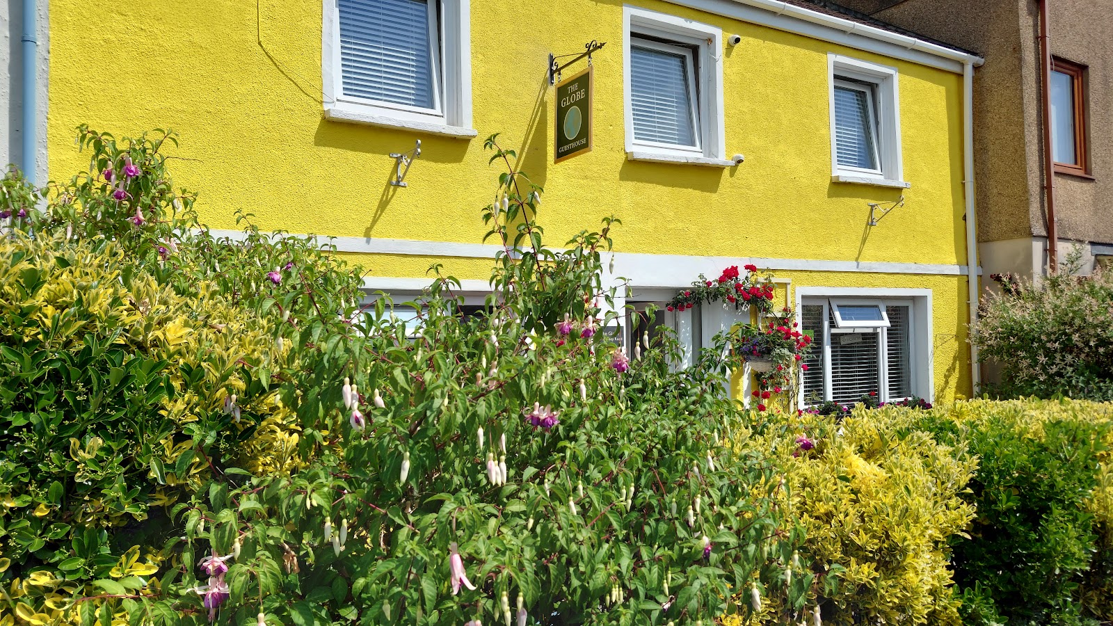 Globe Guesthouse