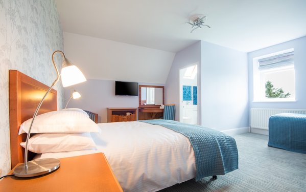 Gwesty Gadlys Hotel
